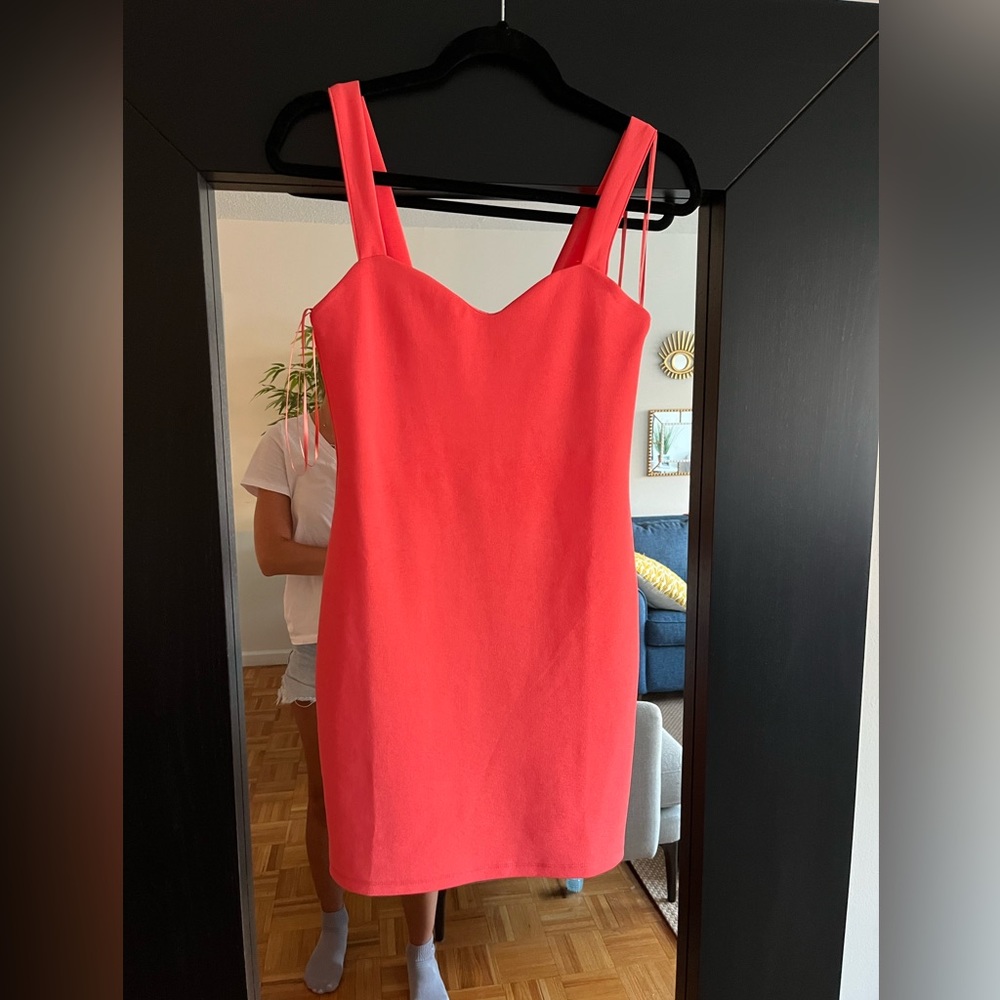 Zara dress